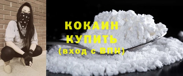 мяу мяу мука Инта