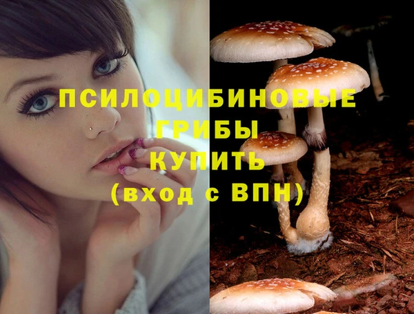 круглые Инсар