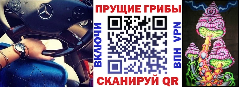 Купить закладки  Долинск  Псилоцибиновые грибы MAGIC MUSHROOMS 